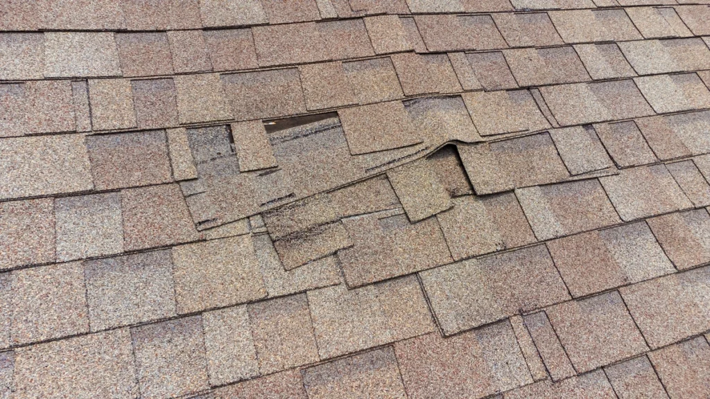 damaged-shingles