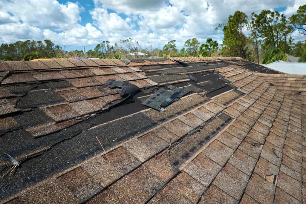 signs-of-storm-damage