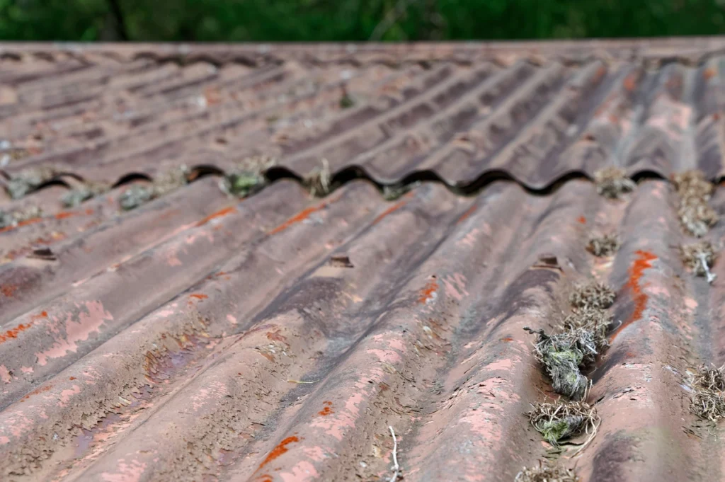 corroded rooftop