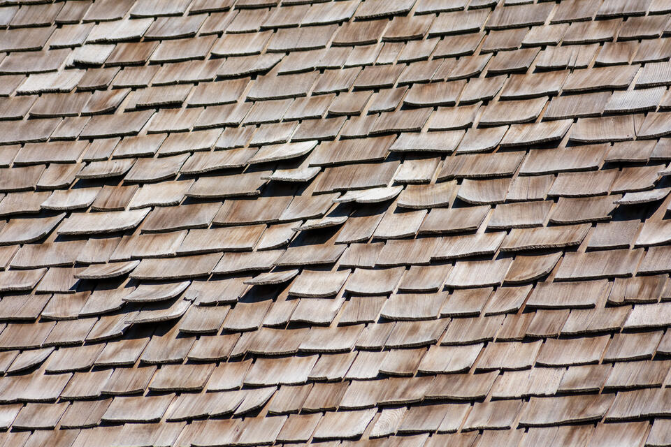 buckling shingles-buckling wood shingles on a roof
