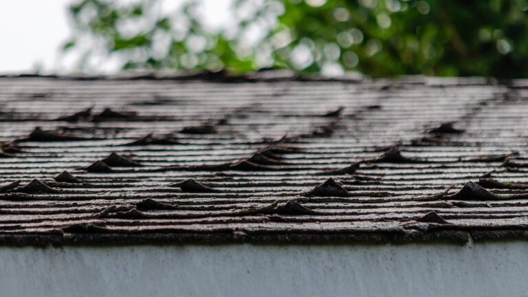 buckling shingles-close up of buckling shingles