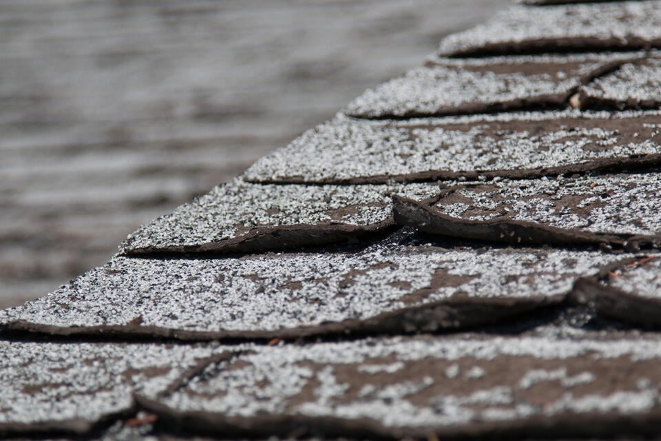 buckling shingles-close up of damaged and buckling shingles with granule loss