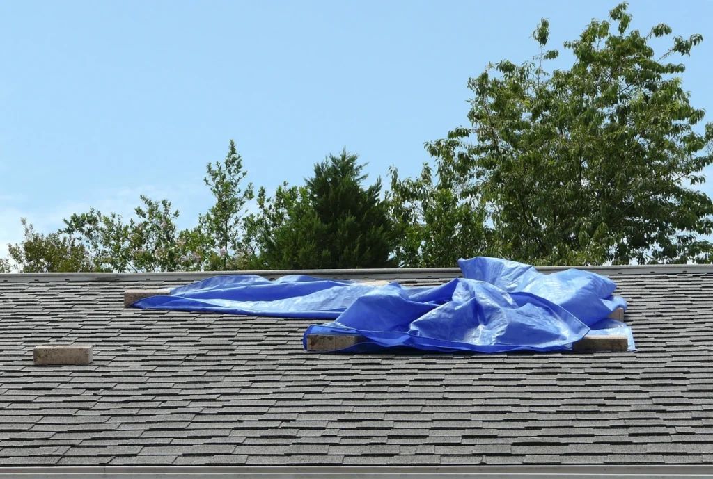 shingle roof with tarp